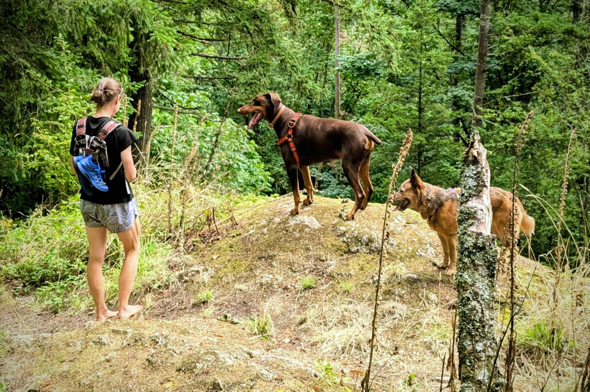 Photo credit: Christopher Burk